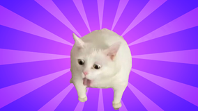 Gag cat meme cursor trail