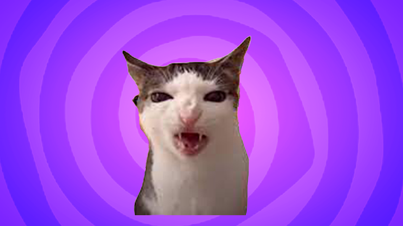 Crunchy cat meme cursor trail