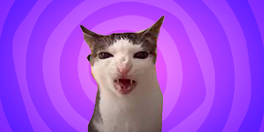 Crunchy cat meme cursor trail