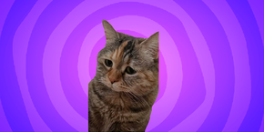 Sad cat meowing meme cursor trail