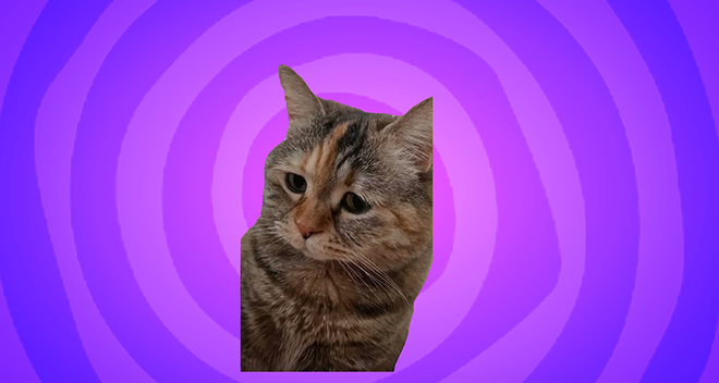 Sad cat meowing meme cursor trail