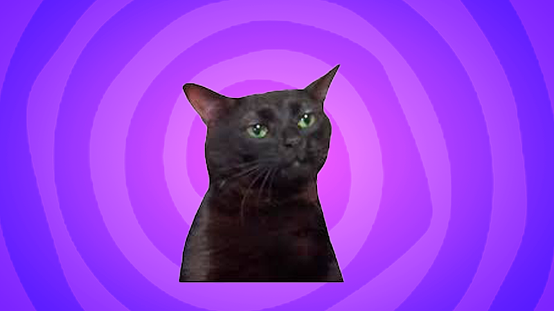Black cat zoning out meme cursor trail