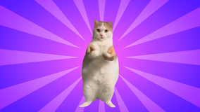 Cat dance template meme cursor trail