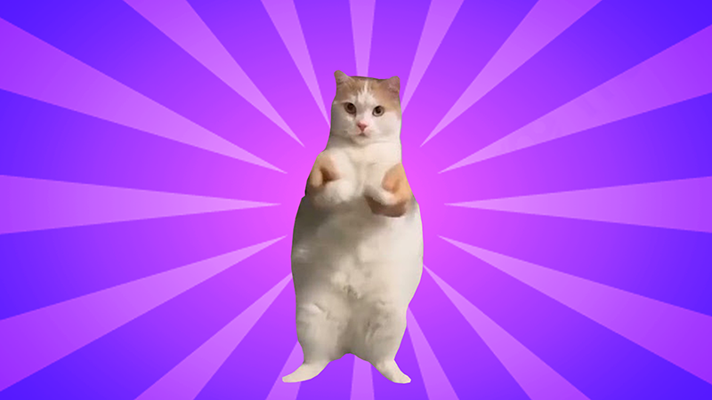 Cat dance template meme cursor trail