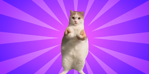 Cat dance template meme cursor trail
