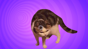 Loading cat meme cursor trail