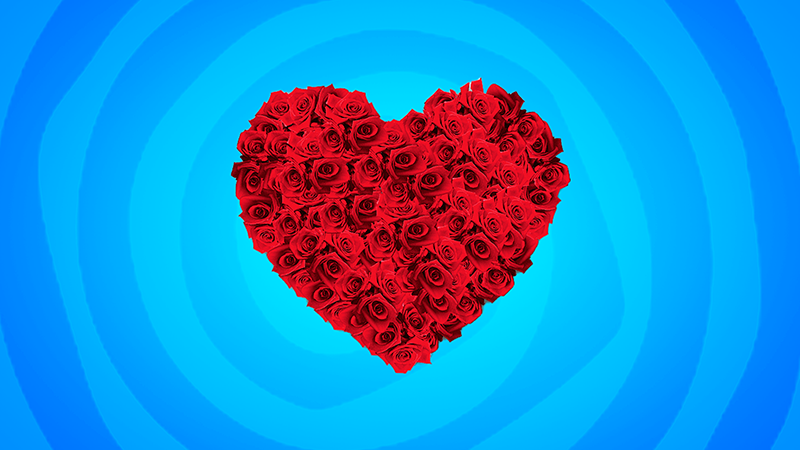 Happy Valentine`s Day Heart of roses cursor trail
