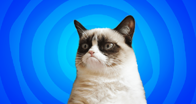 Grumpy Cat meme